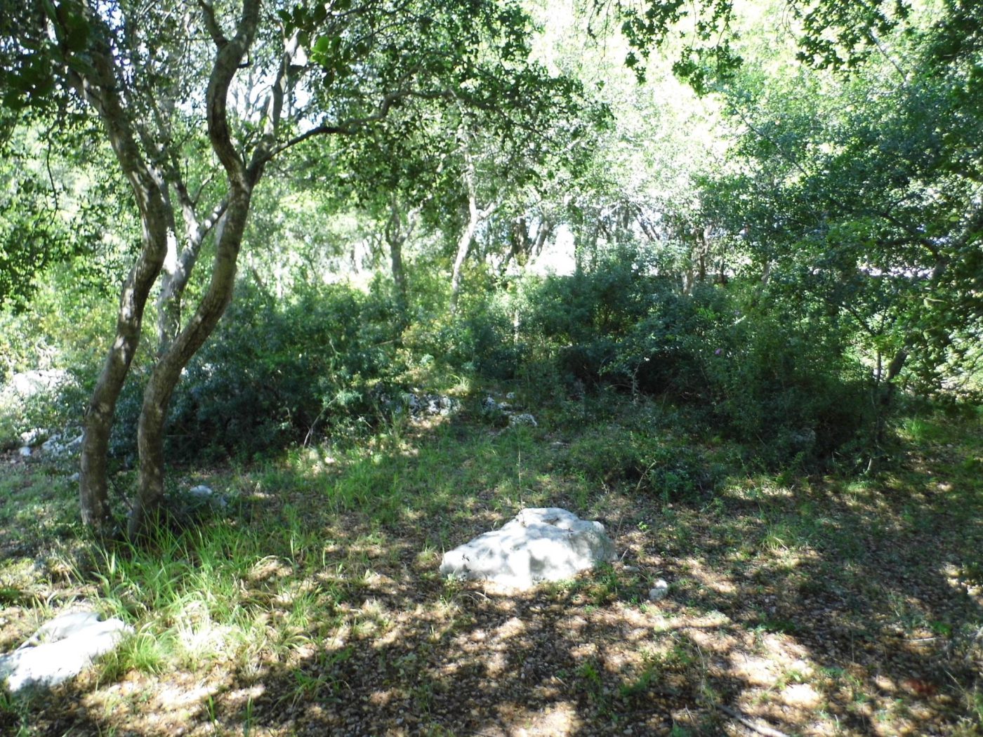 Torre Vado marina di Morciano di Leuca terreno per una villa di mq 190 (4)