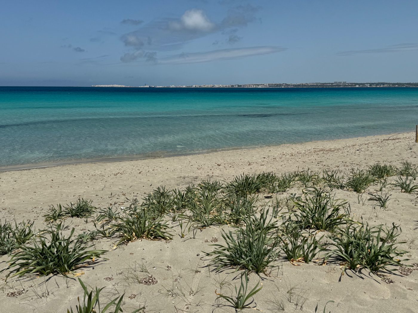 italy-apulia-gallipoli-damicoimmobiliare_65 _12