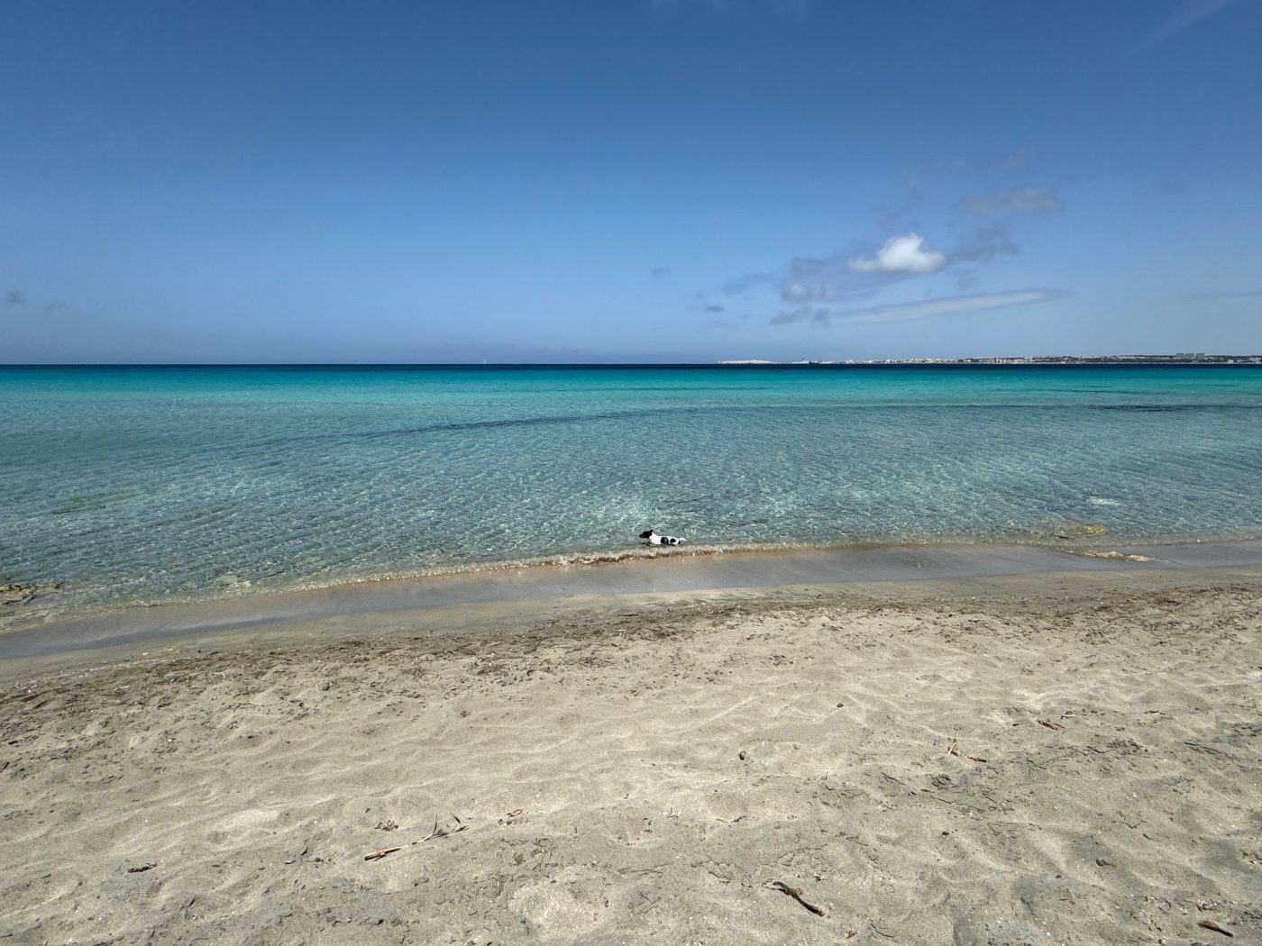 italy-apulia-gallipoli-damicoimmobiliare_65 _3