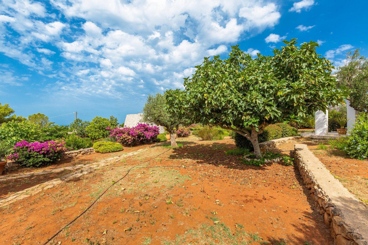 lussuosa_villa_vista_mare_con_Dependance_ d_amico_immobiliare_(10)