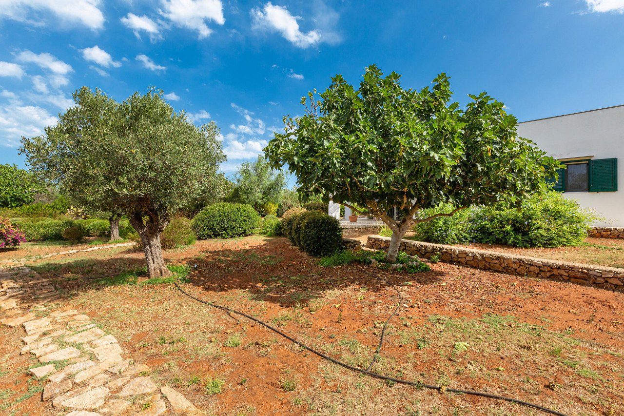 lussuosa_villa_vista_mare_con_Dependance_ d_amico_immobiliare_(11)