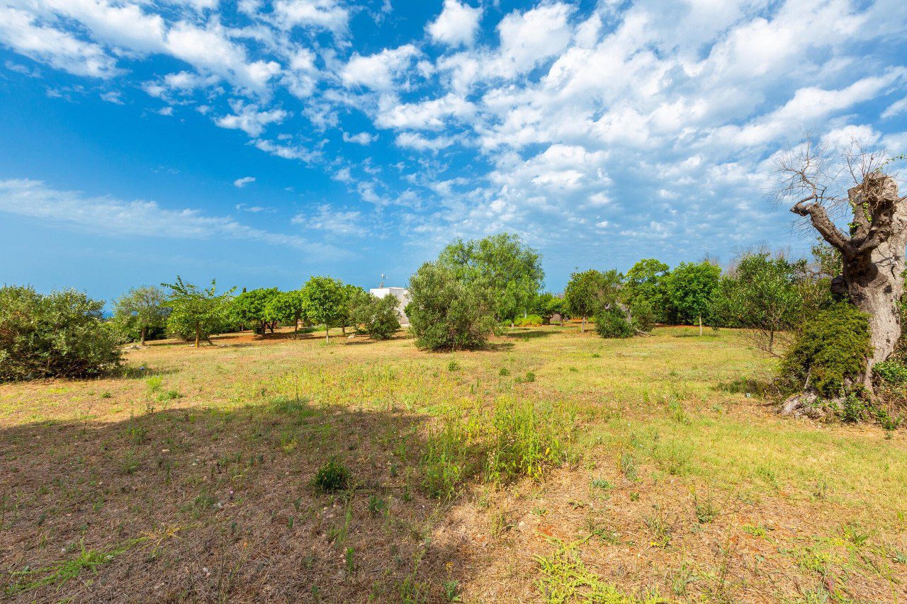 lussuosa_villa_vista_mare_con_Dependance_ d_amico_immobiliare_(14)