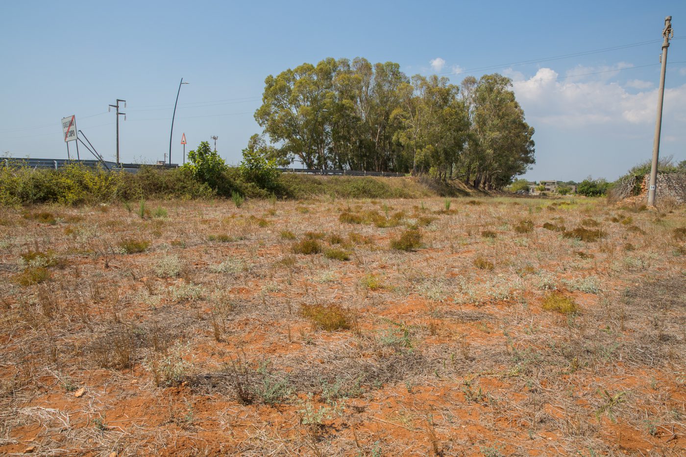 Masseria_del_1800_con_volte_a_stella_gagliano_del_capo_damicoimmobiliare_201 03