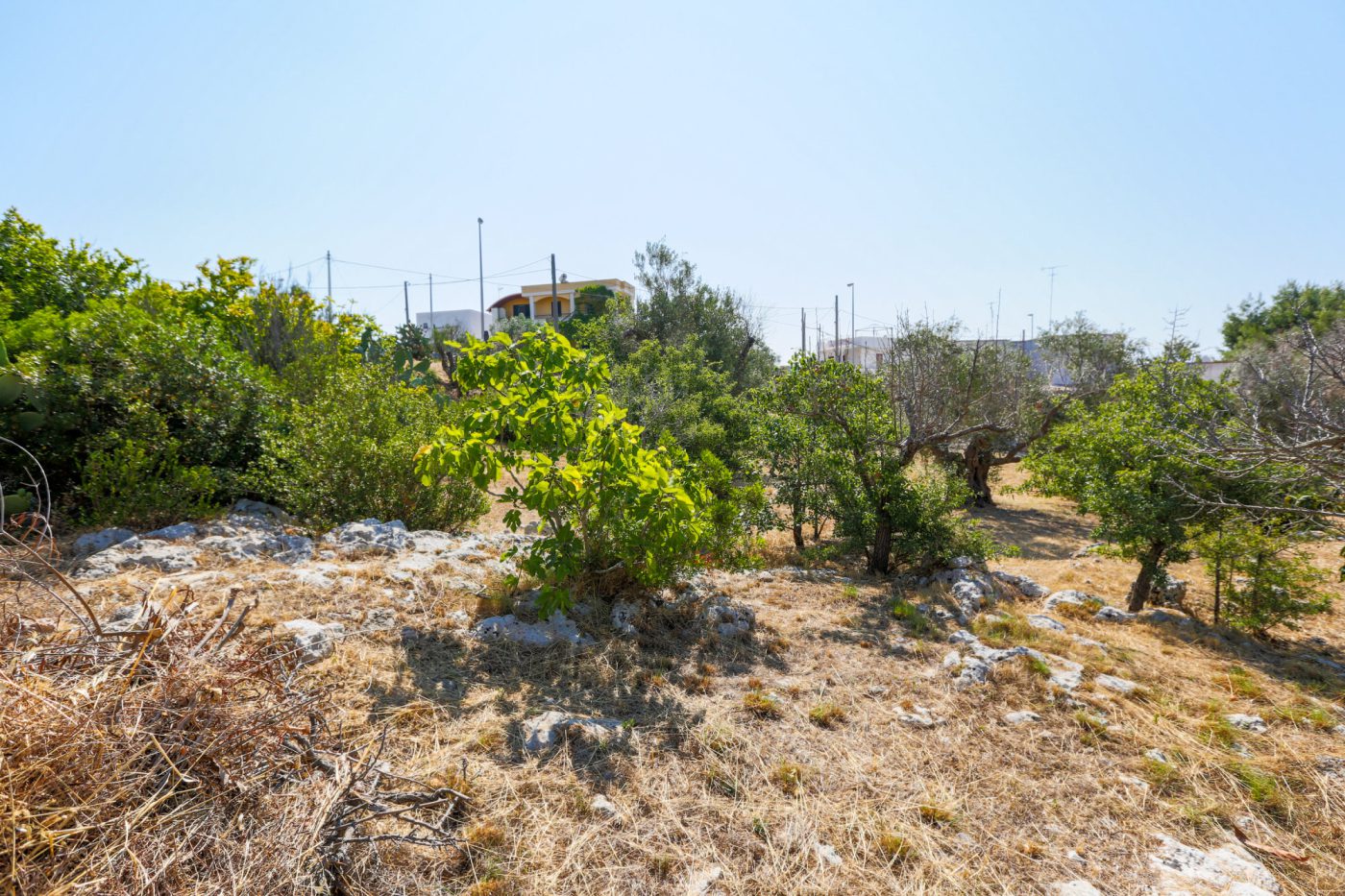 torre_vado_2_ville_vista_mare_damicoimmobiliare_390 (10)