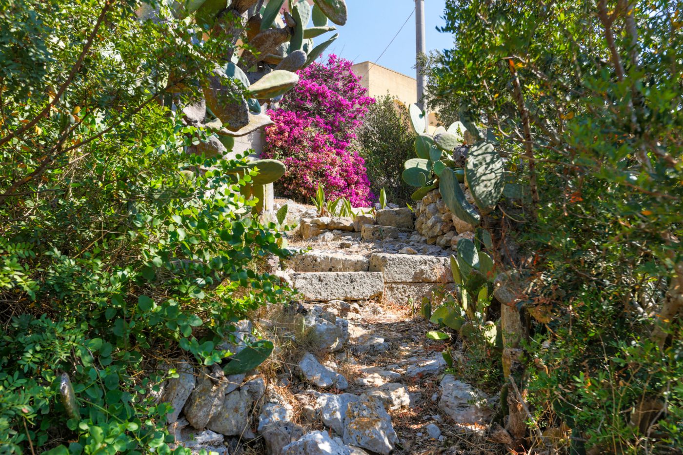 torre_vado_2_ville_vista_mare_damicoimmobiliare_390 (11)