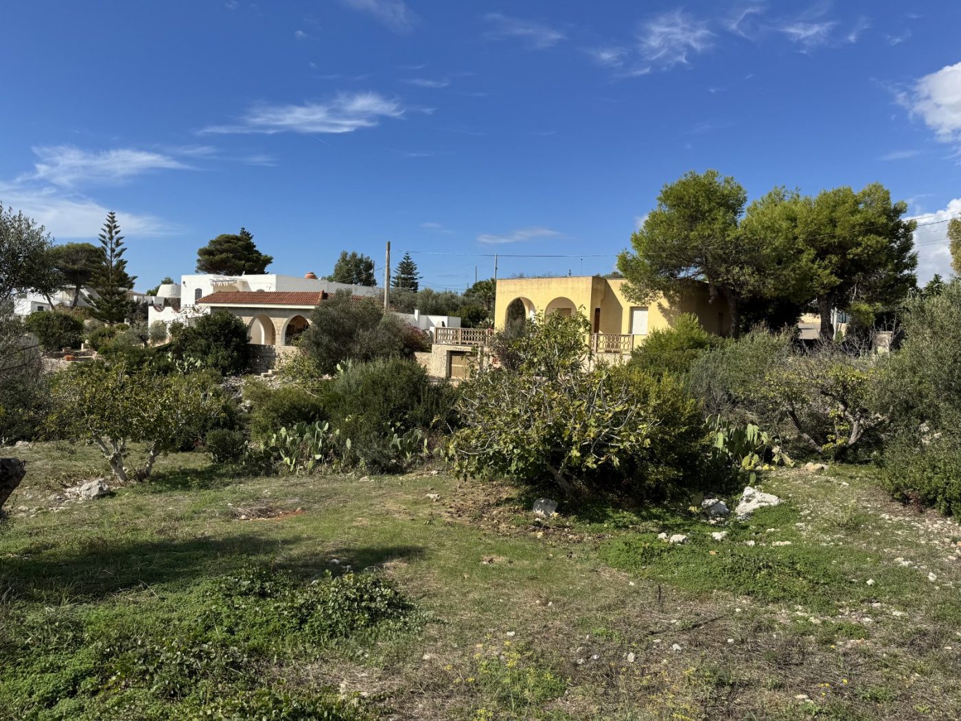 torre_vado_2_ville_vista_mare_damicoimmobiliare_390 (54)