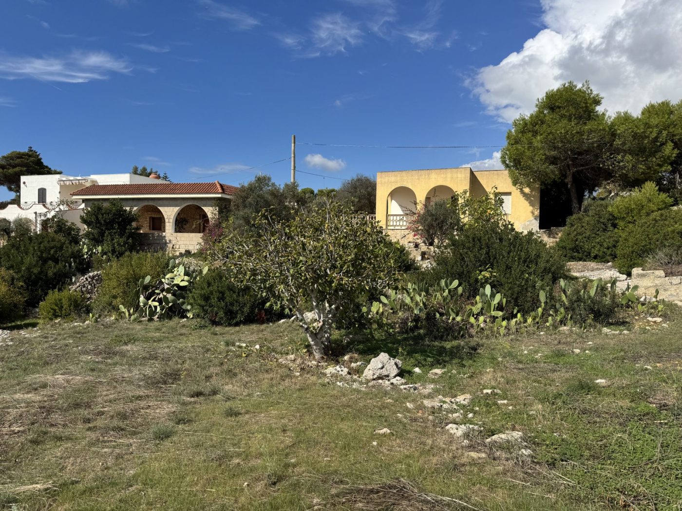 torre_vado_2_ville_vista_mare_damicoimmobiliare_390 (55)