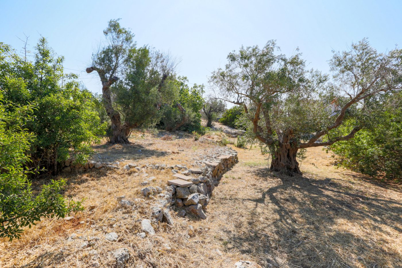 torre_vado_2_ville_vista_mare_damicoimmobiliare_390 (9)