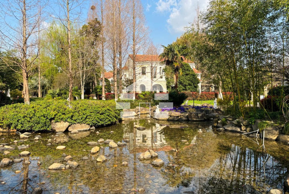 Mountain house with a pool